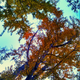 Illustration for article titled 48 Photos Of Autumn Around The World